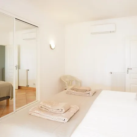 Da Palmeira - Palm Tree *
